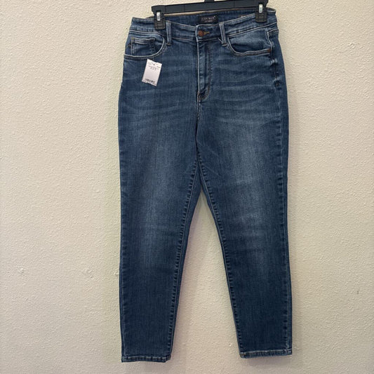 JUDY BLUE,DENIM SLIM FIT,BLUE,30