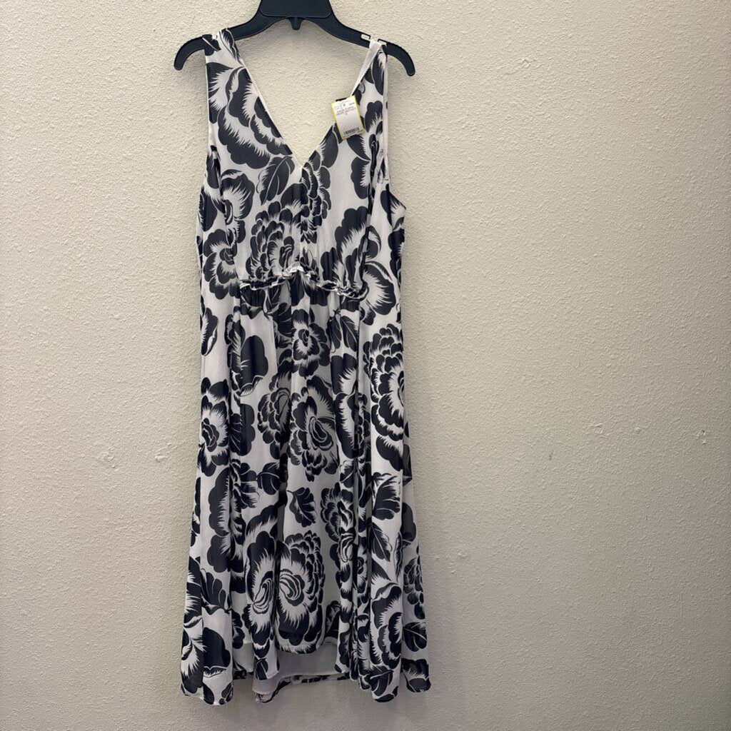 ANN TAYLOR,SHEER FLORAL DRESS ,WHT/NVY,8