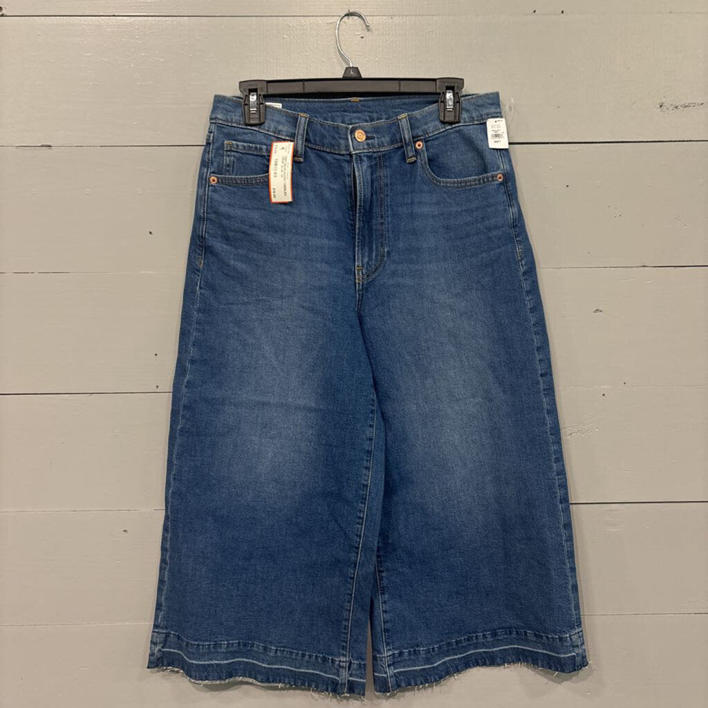 GAP,NWT DENIM BAGGY WIDELEG CROP ,BLUE ,29