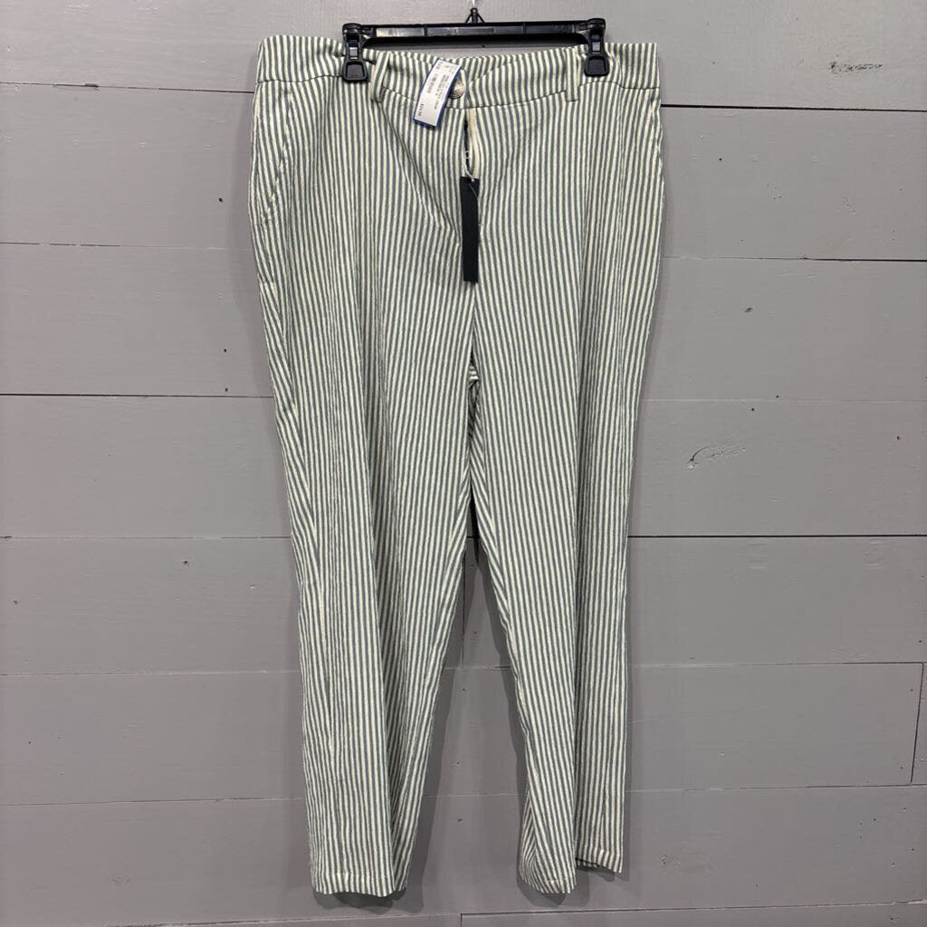 DOLCE CABO,WIDE LEG STRIPE CROP,GREEN/BIEGE,16
