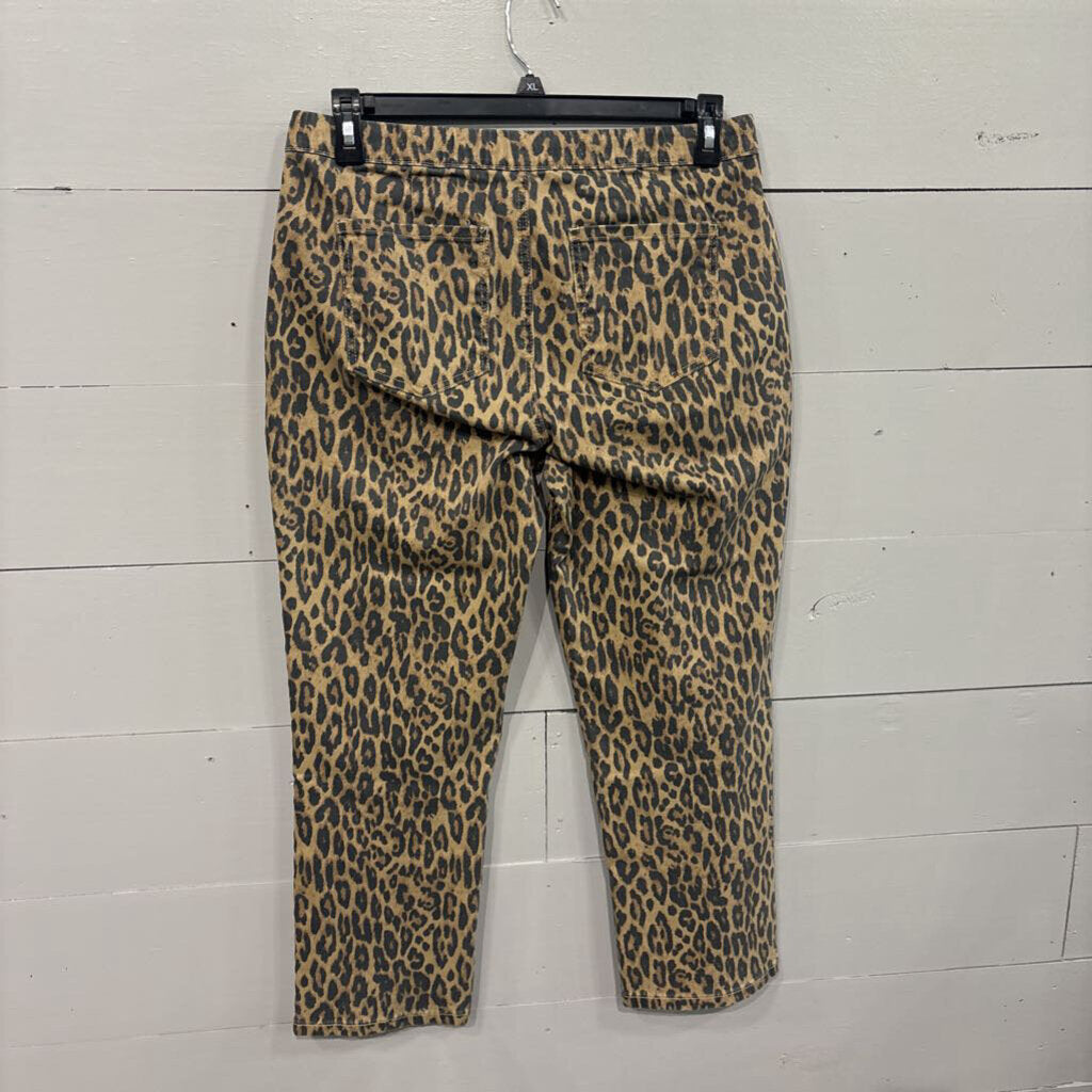 YMI,LEOPARD PANTS ,LEOPARD,L