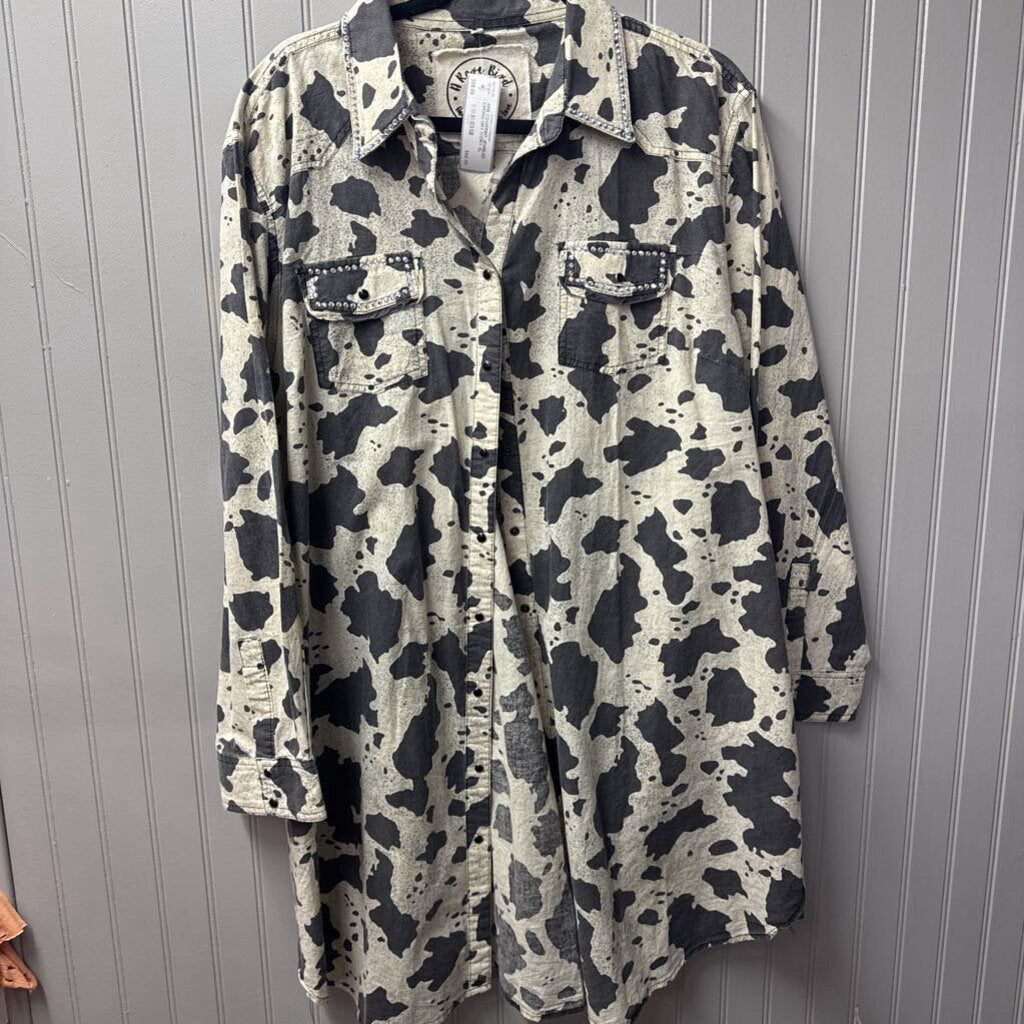 A RARE BIRD,ARB COWPRINT JEWELED KIMONO,GRY IVORY,XL