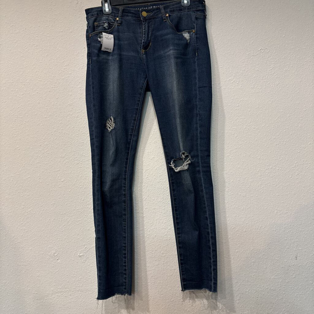 ARTICLES OF SOCIETY,DENIM SKINNY,BLUE,29