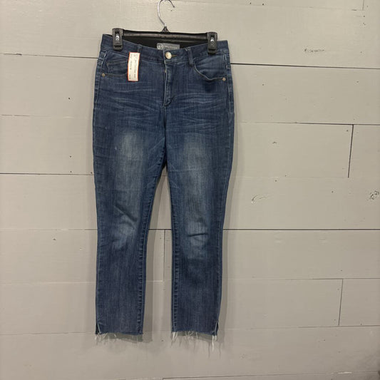 WIT & WISDOM,DENIM ANKLE SKINNY ,BLUE ,2