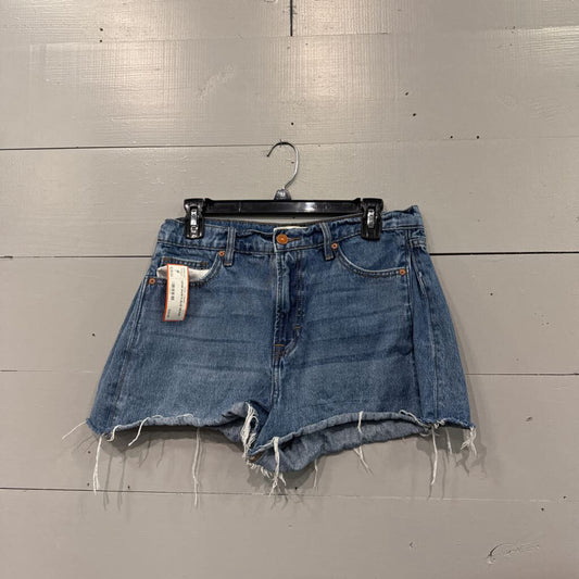 HIDDEN,DENIM SHORTS,BLUE,MEDIUM