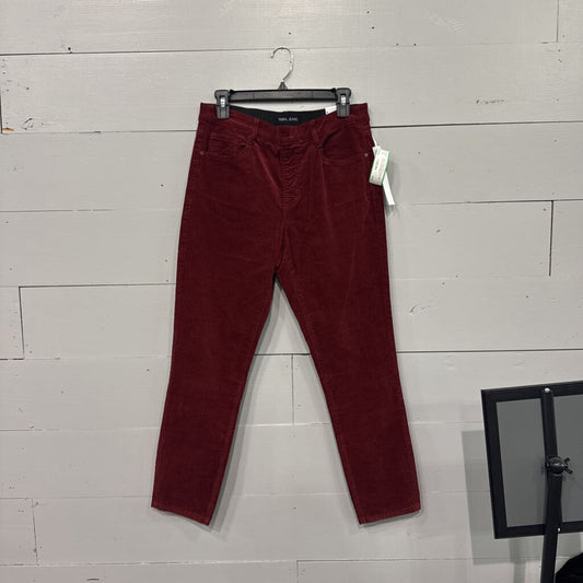 TRIBAL,*NWT CORDORY PULL ON PANTS,MAROON,8