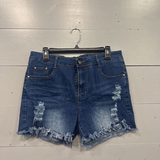 SOUTHERN STITCH,*DENIM RIPPED JEAN SHORTS,DENIM,L