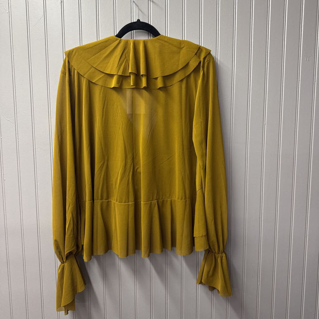ZARA,NWT RUFFLE SHEER TOP,olive ,L