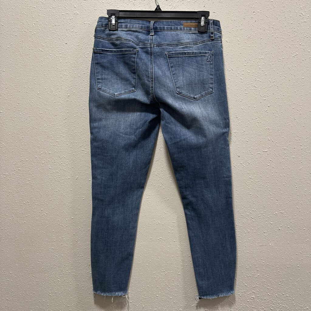 ARTICLES OF SOCIETY,women,Just Jeans,AOS ANKLE SKINNY ,DENIM ,28