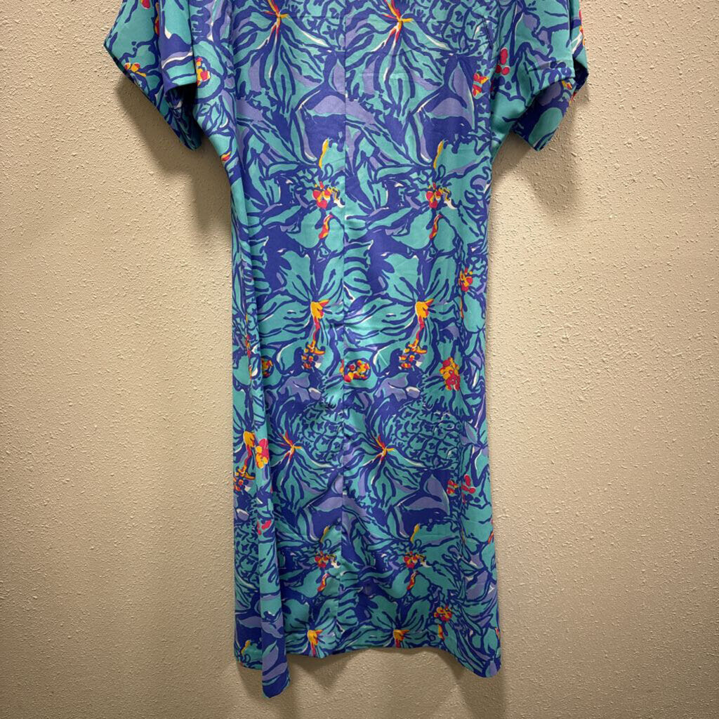 LILLY PULITZER,women,Dresses,LP SHEER ,MULTI,S